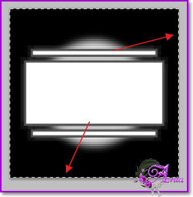 Image 9.png